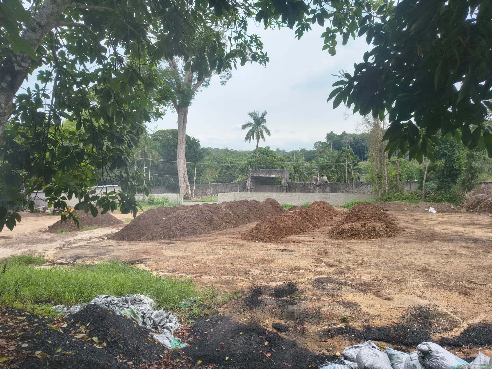 Leiras de compostagem de resíduos orgânicos na Chácara Way, Tarumã-Açu