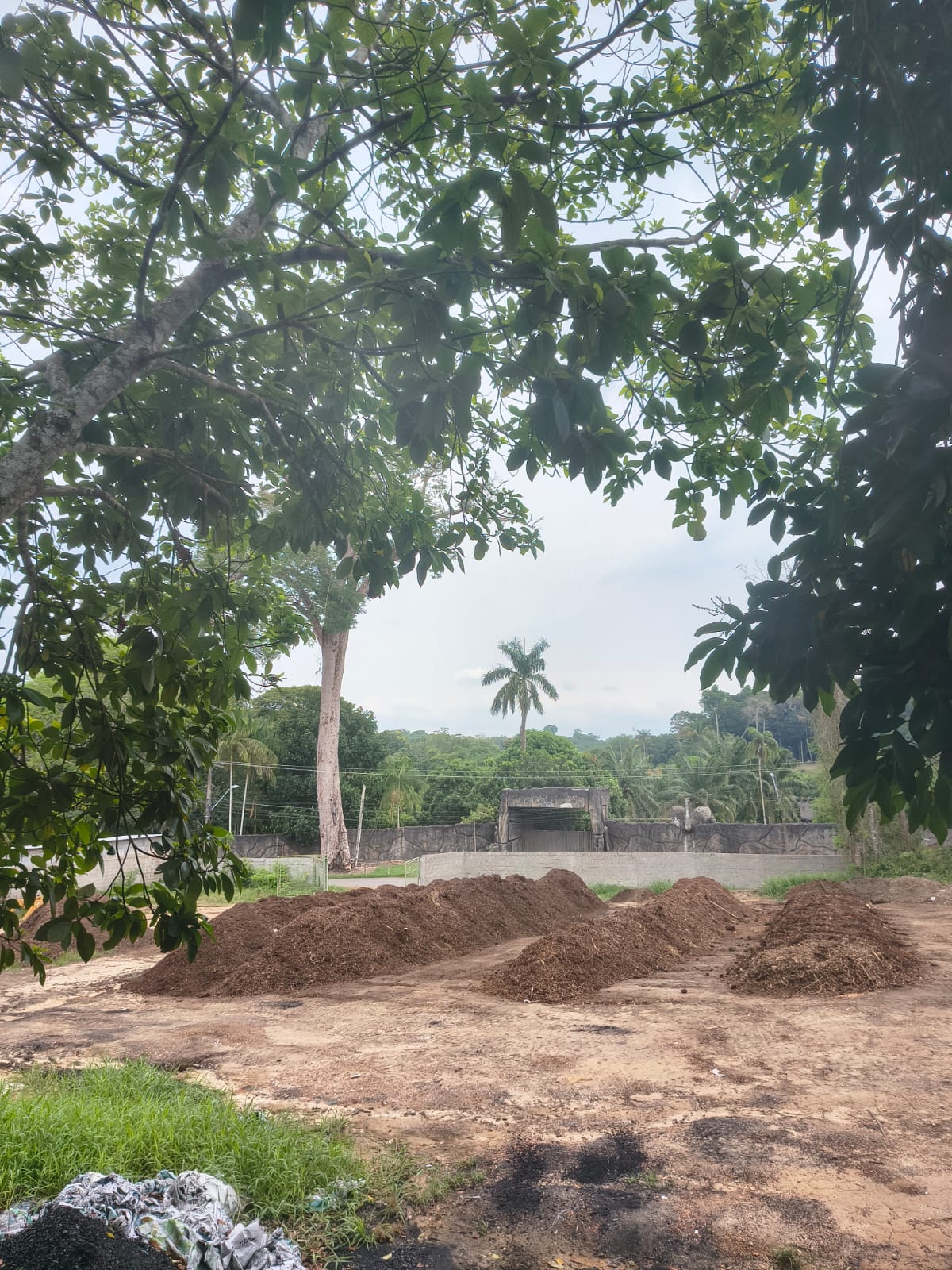 Composto orgânico maturando no pátio da Chácara Way