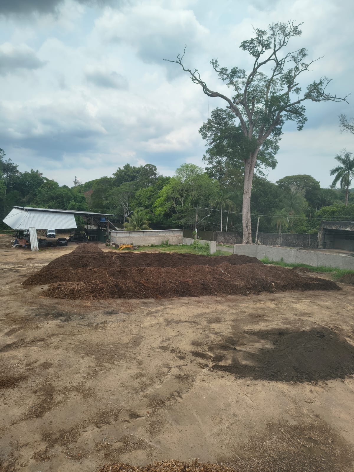 Área de compostagem da fábrica de adubo orgânico Chácara Way em Manaus